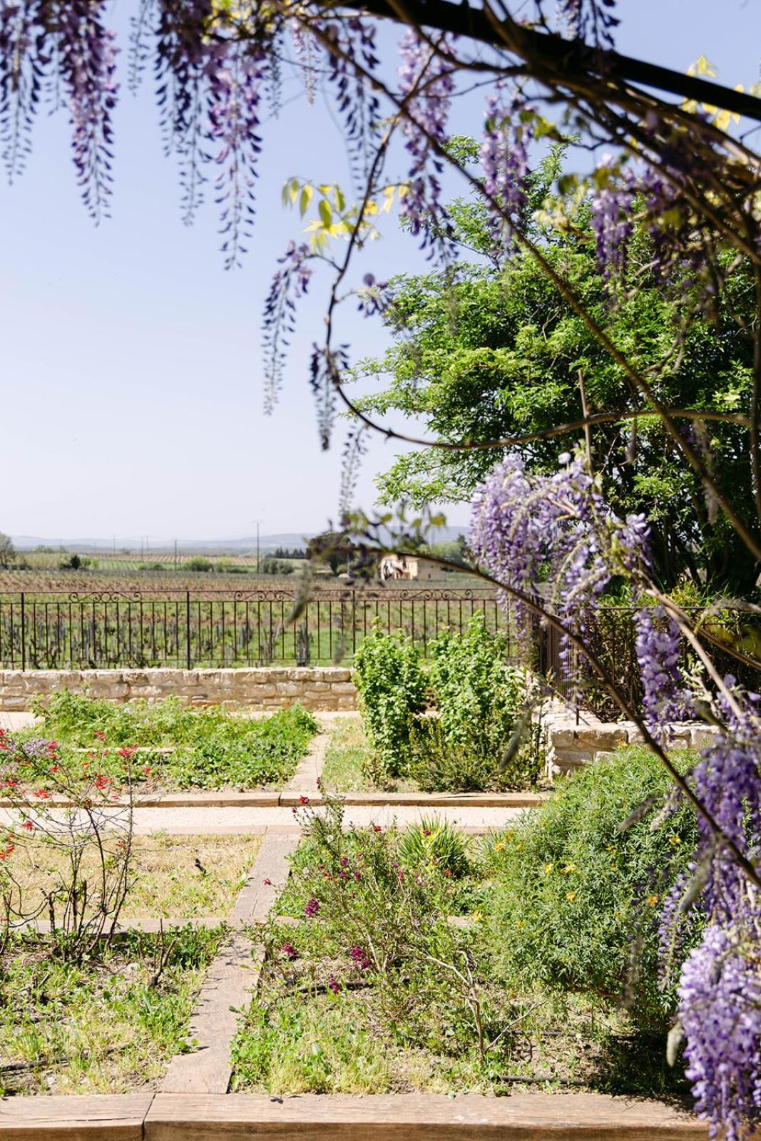 La Maison Dans Les Vignes * Orange (Vaucluse)