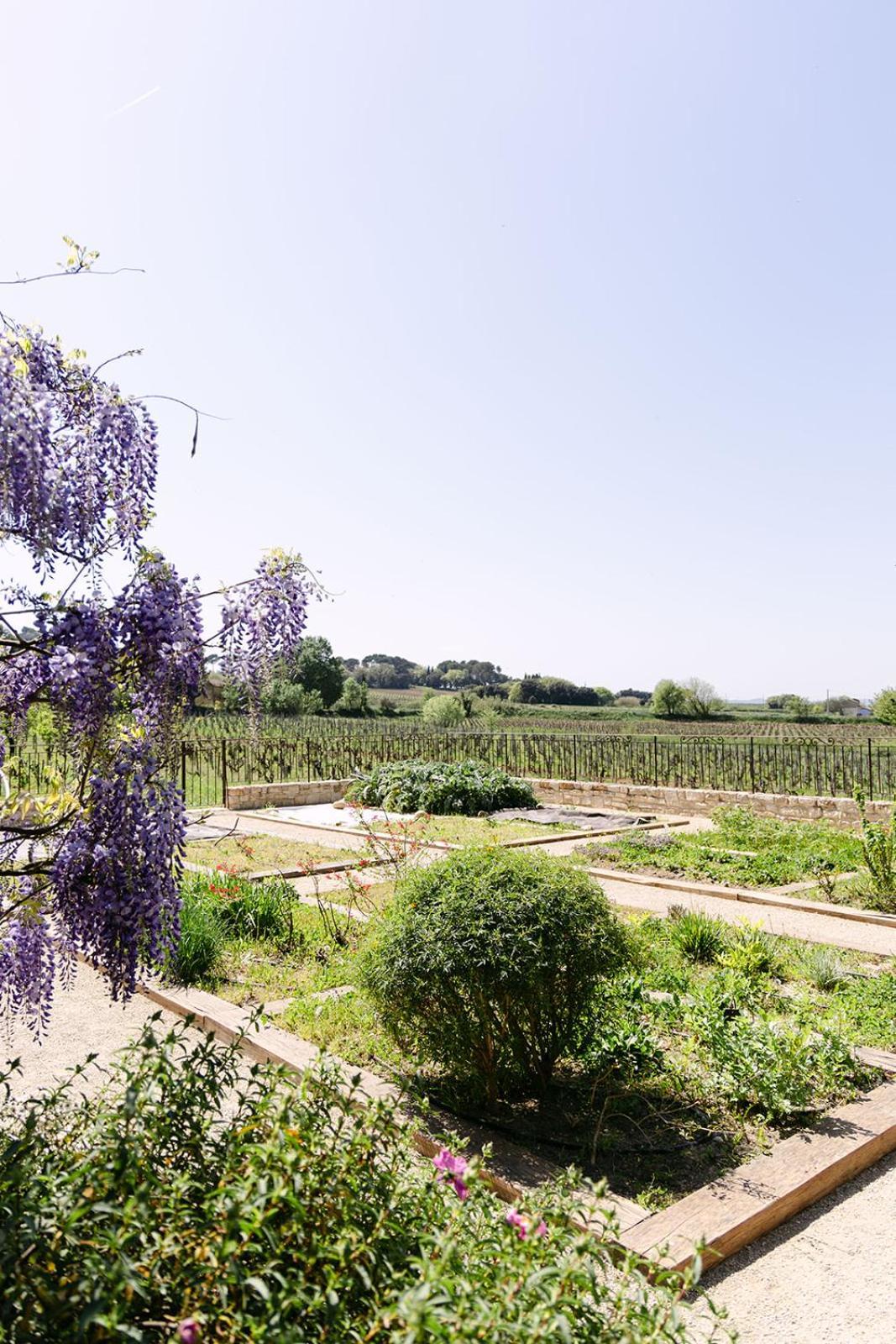 Villa La Maison Dans Les Vignes