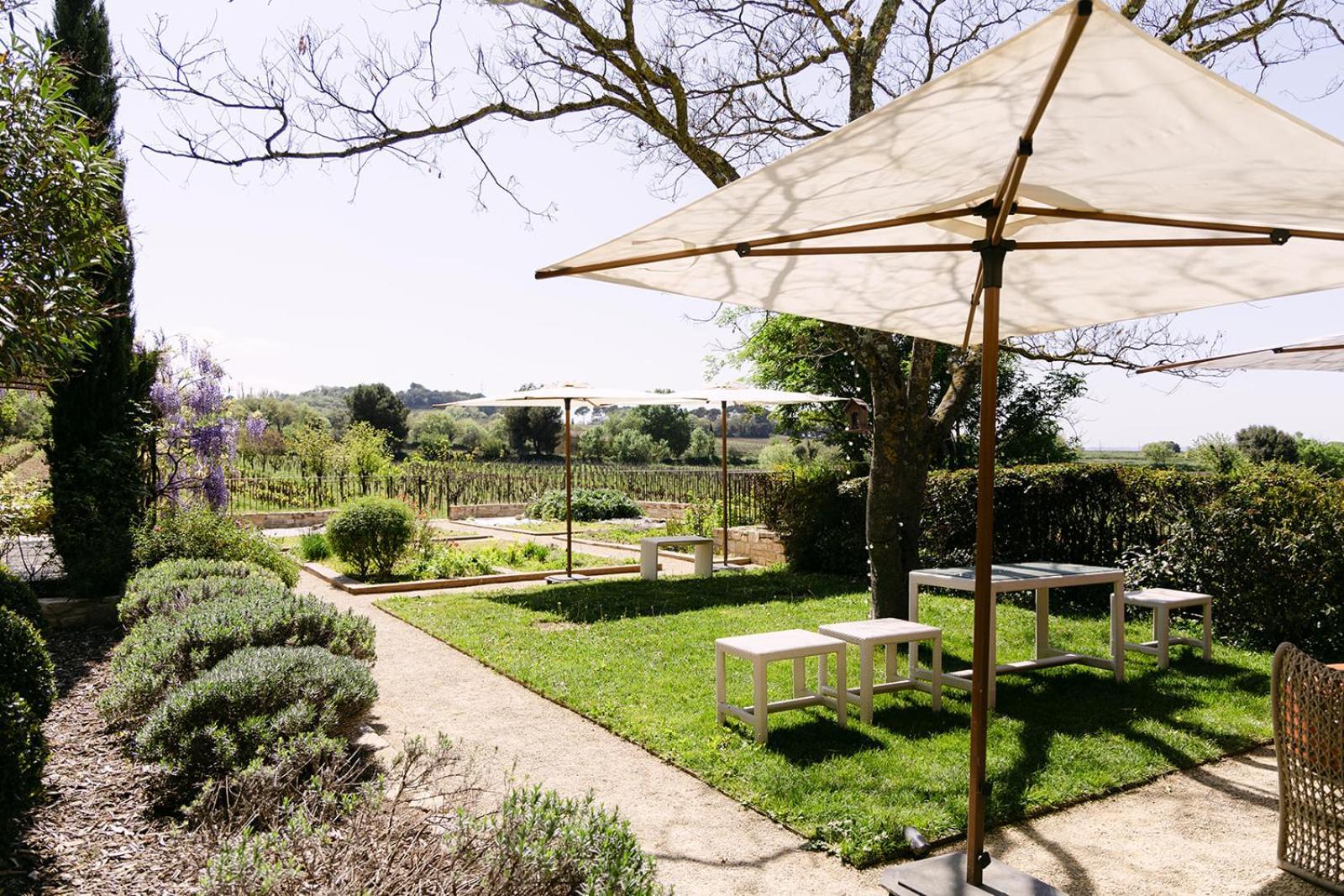 La Maison Dans Les Vignes